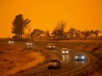 Oh the Sting of it; The Bear and The&nbsp;Bee