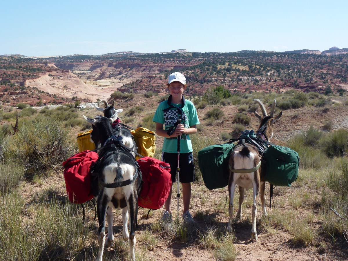 A Great Getaway with a Posse of&nbsp;Goats