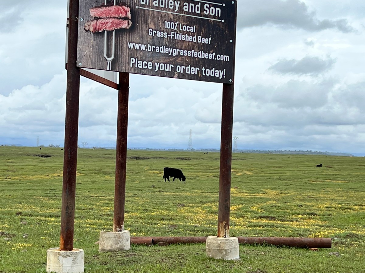 Bradley Family Takes Pride in the&nbsp;Pastures