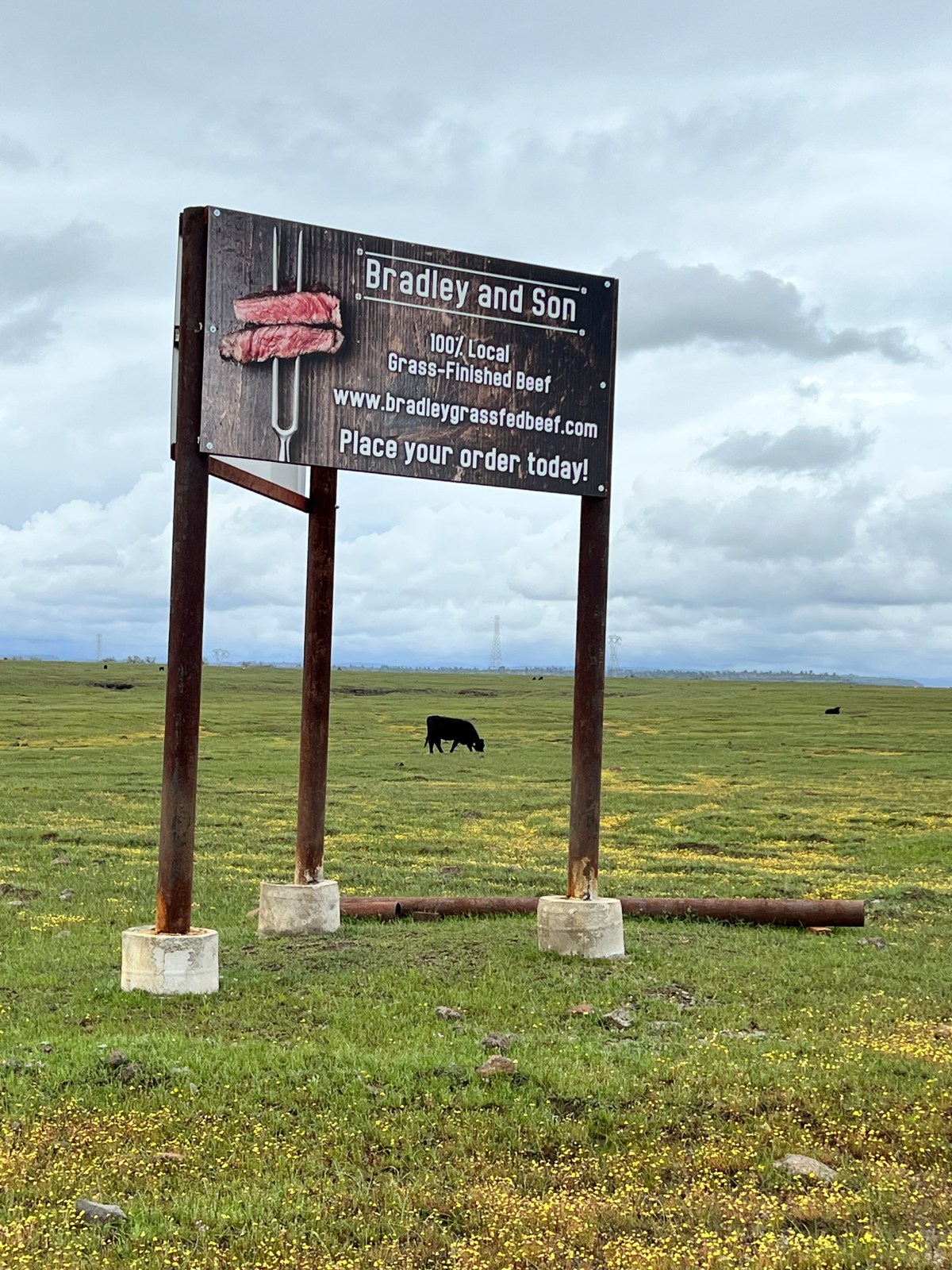 Bradley Family Takes Pride in the&nbsp;Pastures