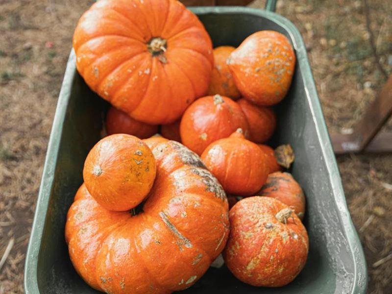 Perspire, Pickle, and&nbsp;Persevere